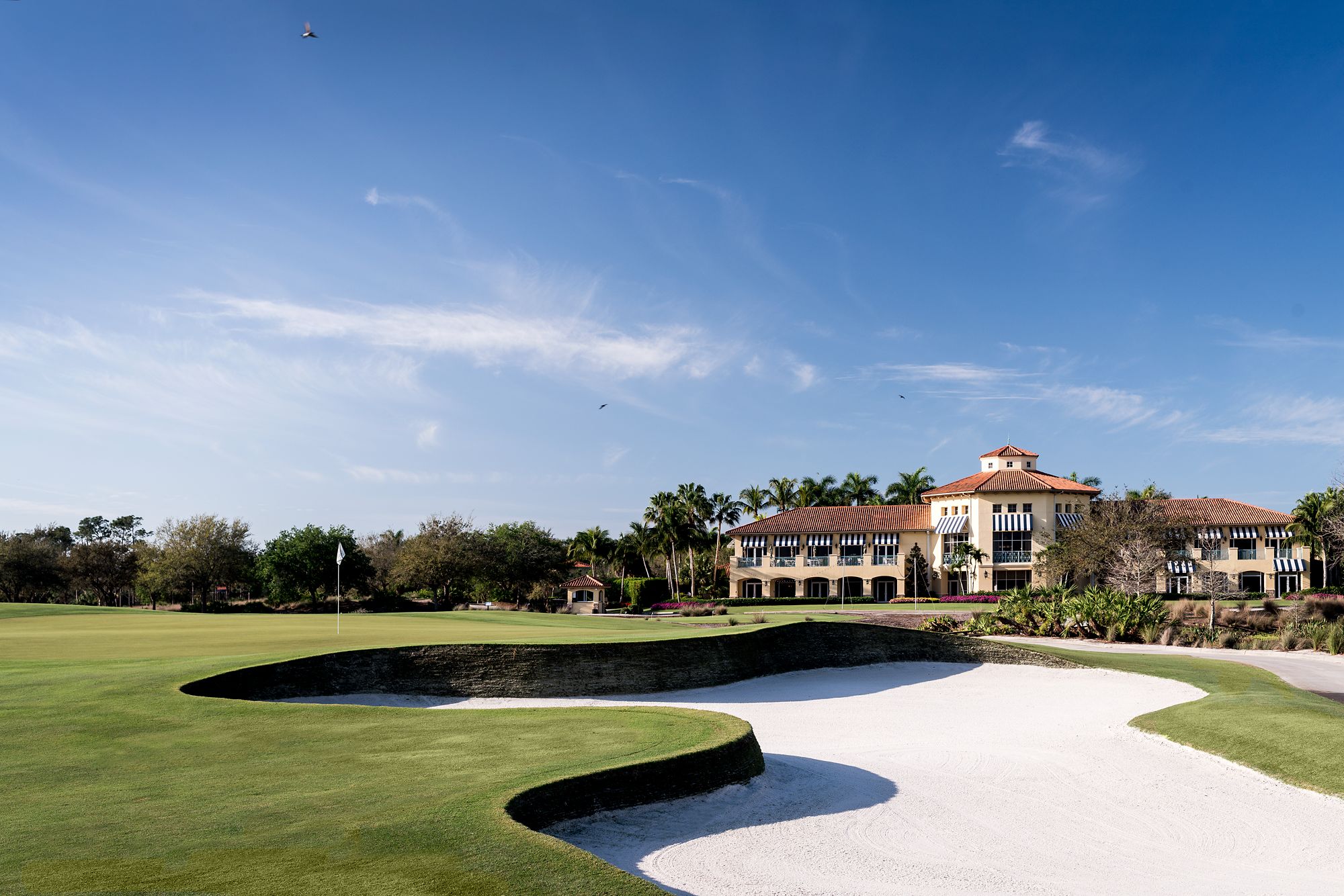 Tiburon Golf Club Gulf Coast Florida Homes Tiburon Golf Club Gulf Coast Florida Homes